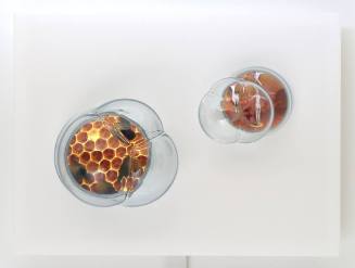 This video sculpture is comprised of blown glass bubbles encasing a small video screen. The vid…
