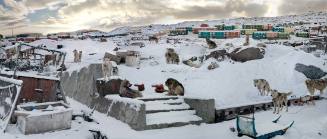 A digitally composed photograph of Siberian Husky sled dogs or wolves deposited on snow banks a…