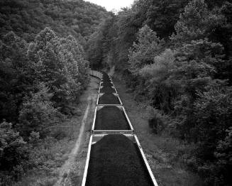 This black and white photograph shows a landscape with dense trees bisected by a train carrying…