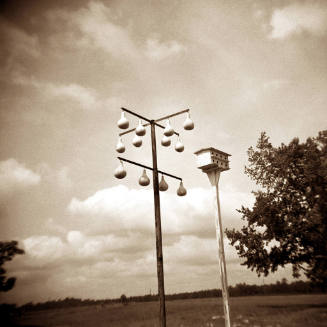 Hollowed-out gourds hanging from a pole next to a birdhouse in a rural landscape.